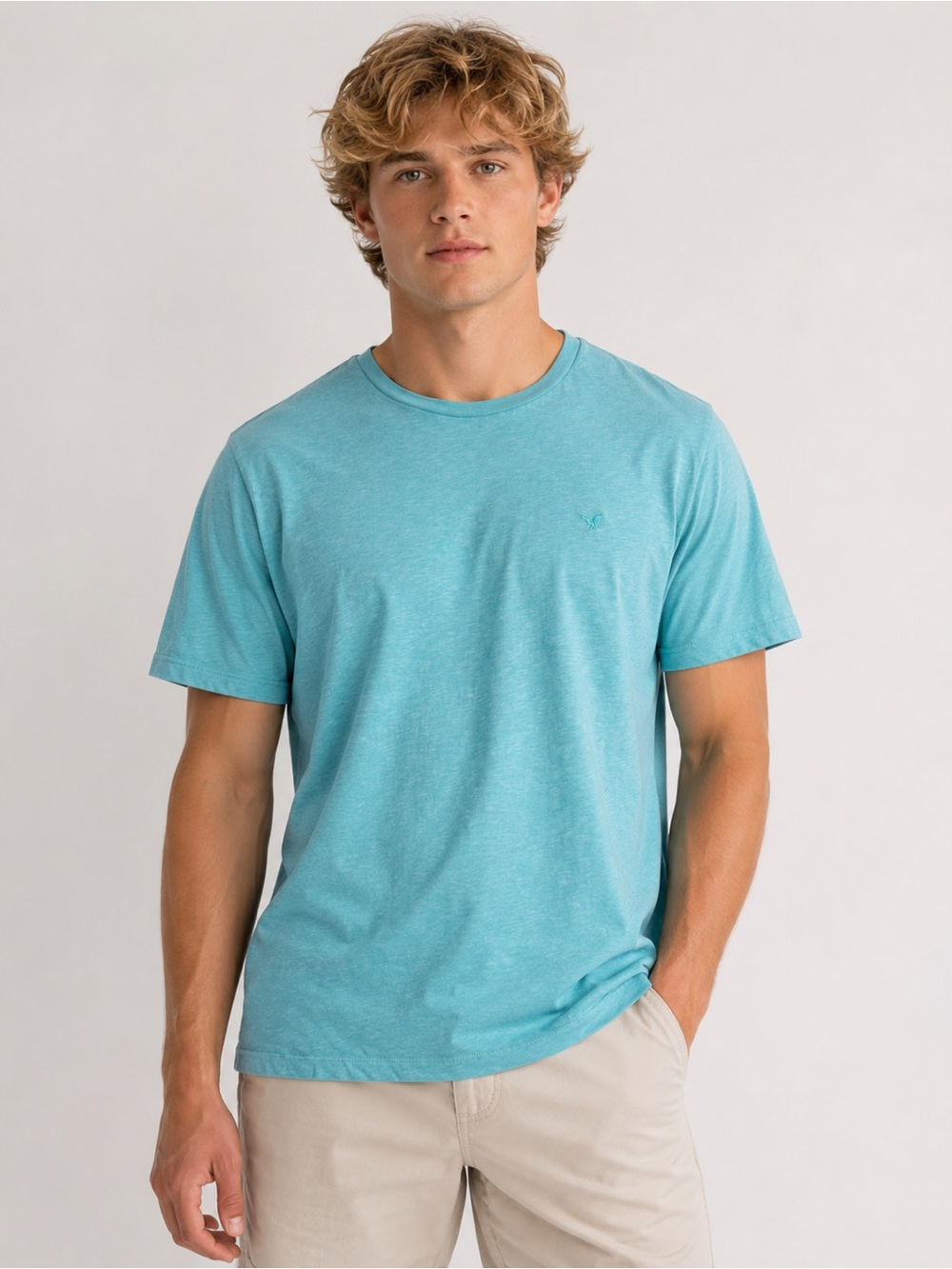 American Eagle Outfitters Short Sleeve Men’s Green T-Shirt Size L 100% Cotton